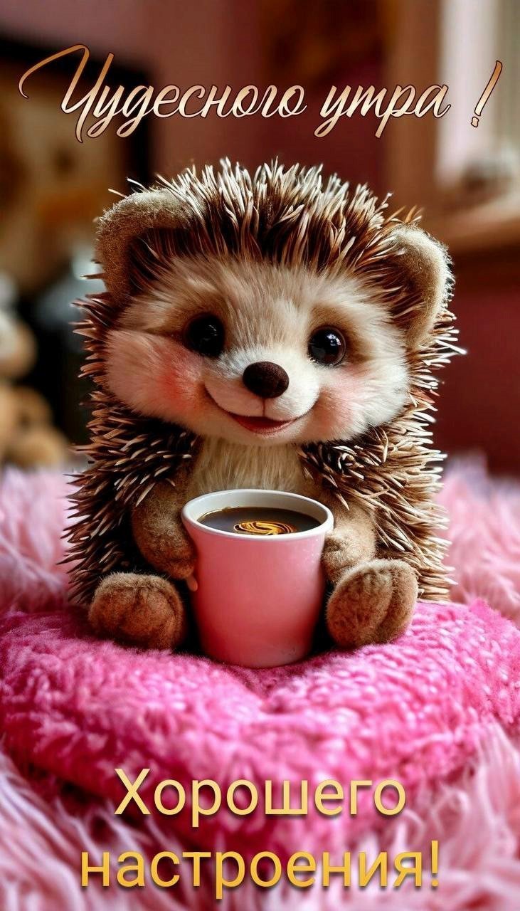 Ежик с кофе