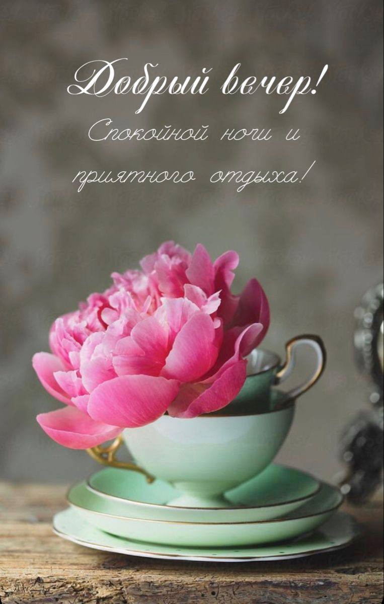 Бутон пиона в чаше