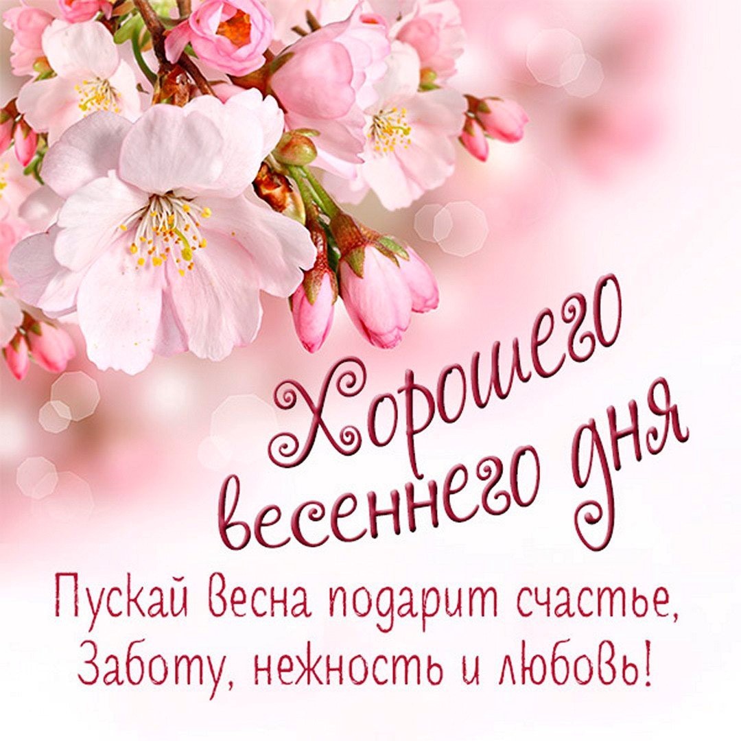 Открытка Хорошего весеннего дня с цветами Нежные цветы