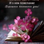 Цветы на книге