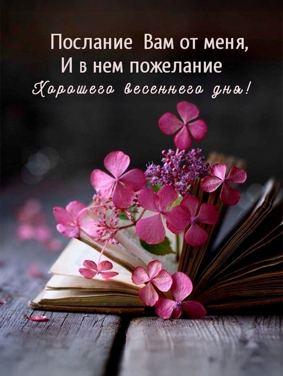 Открытка Хорошего весеннего дня с цветами и книгой Цветы на книге