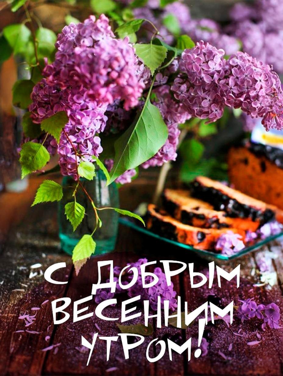 Открытка с сиренью доброго весеннего утра Букет сирени