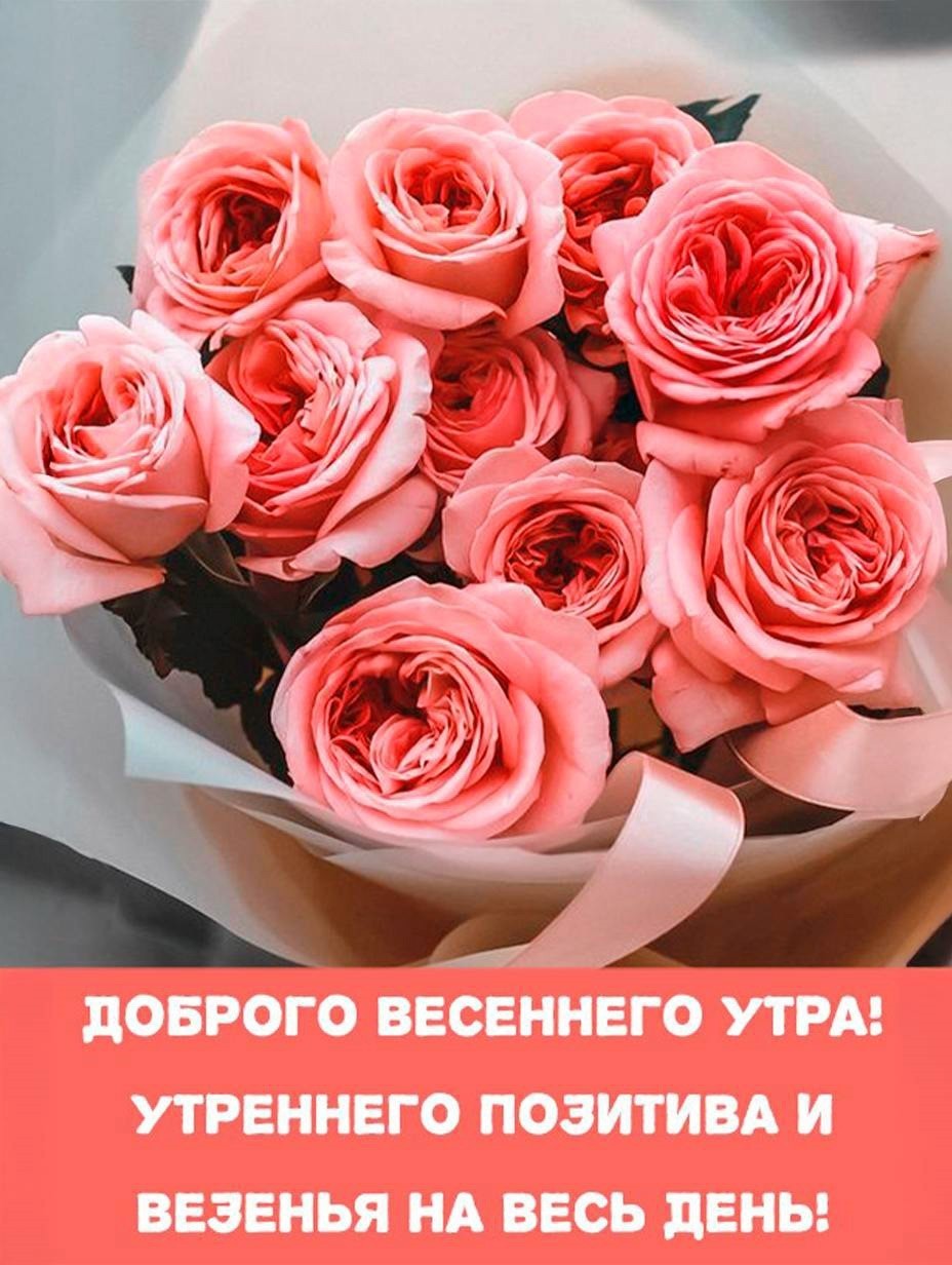 Открытка доброго утра с розами Красивые алые розы