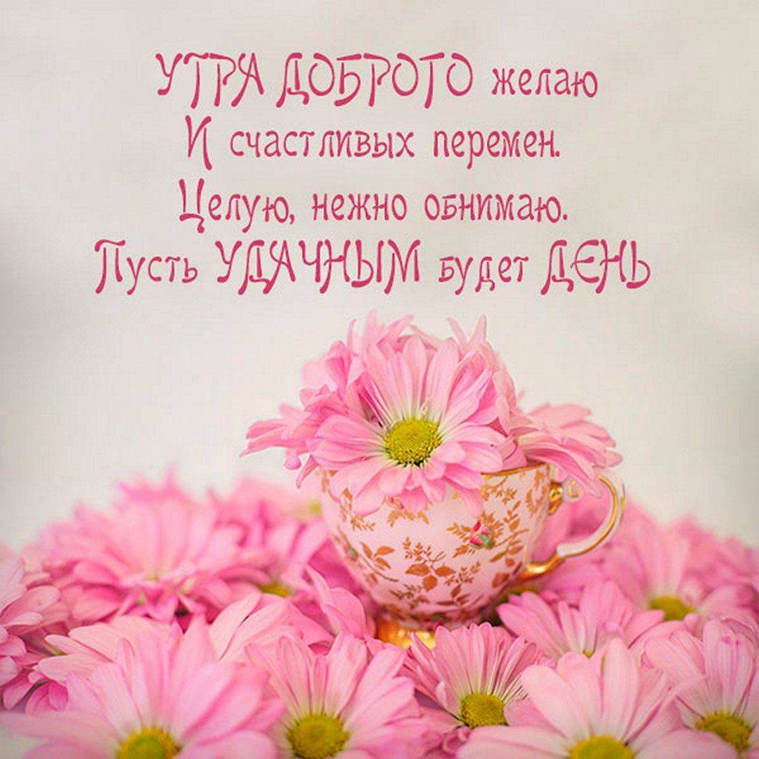 Открытка доброе утро с цветами Нежные цветы