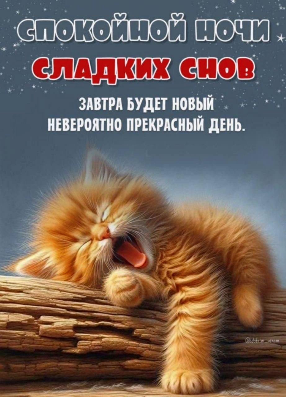 Рыжий котик зевает на открытке с пожеланием доброй ночи