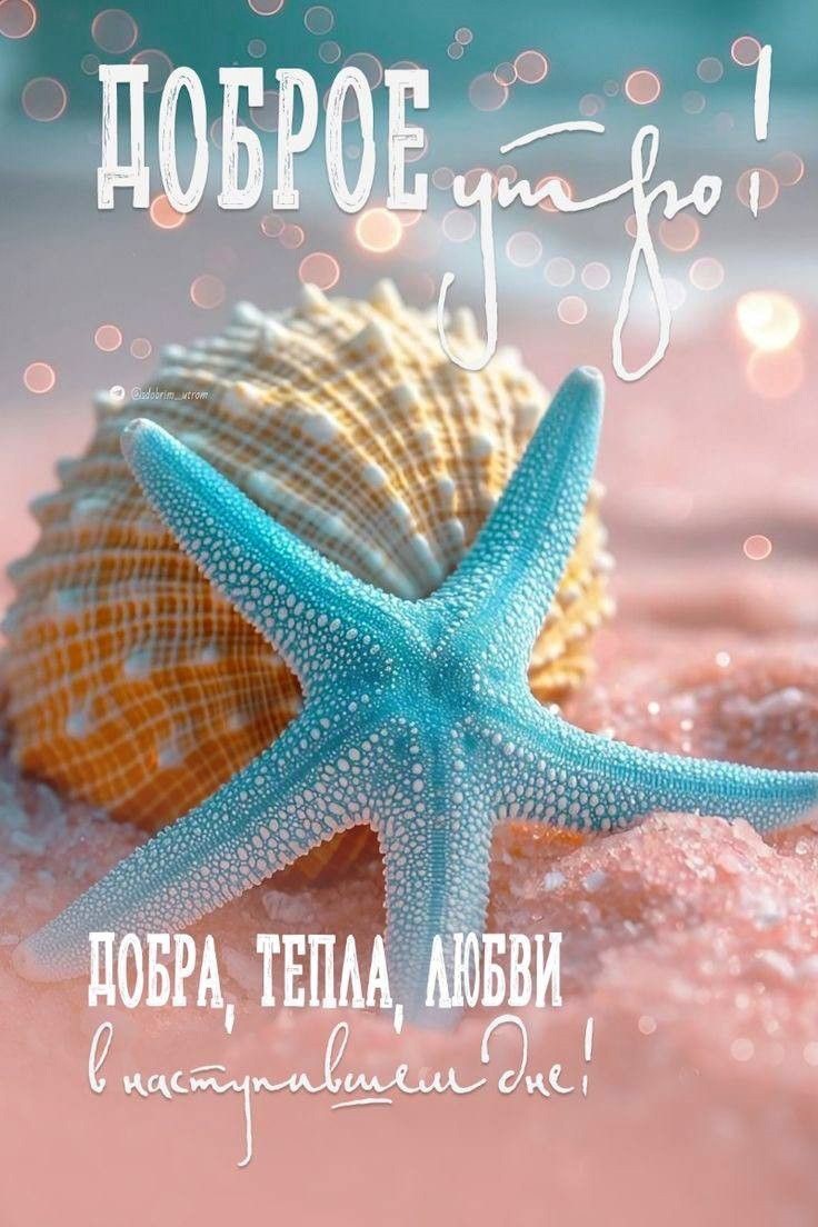 Морская звезда с ракушкой