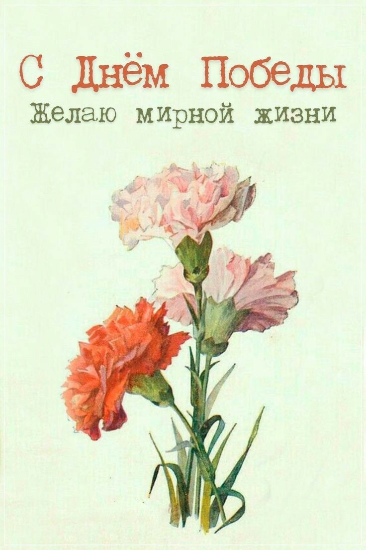 С Днем Победы Открытка на 9 мая с гвоздиками Три гвоздики на открытке с днем победы