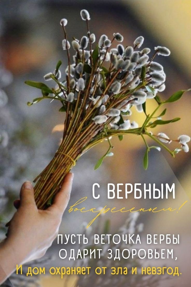 Букет из вербы в руке