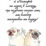 Два мопса сидят вместе