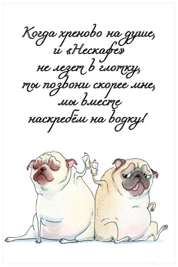 Картинка Когда плохо на душе с мопсами Два мопса сидят вместе