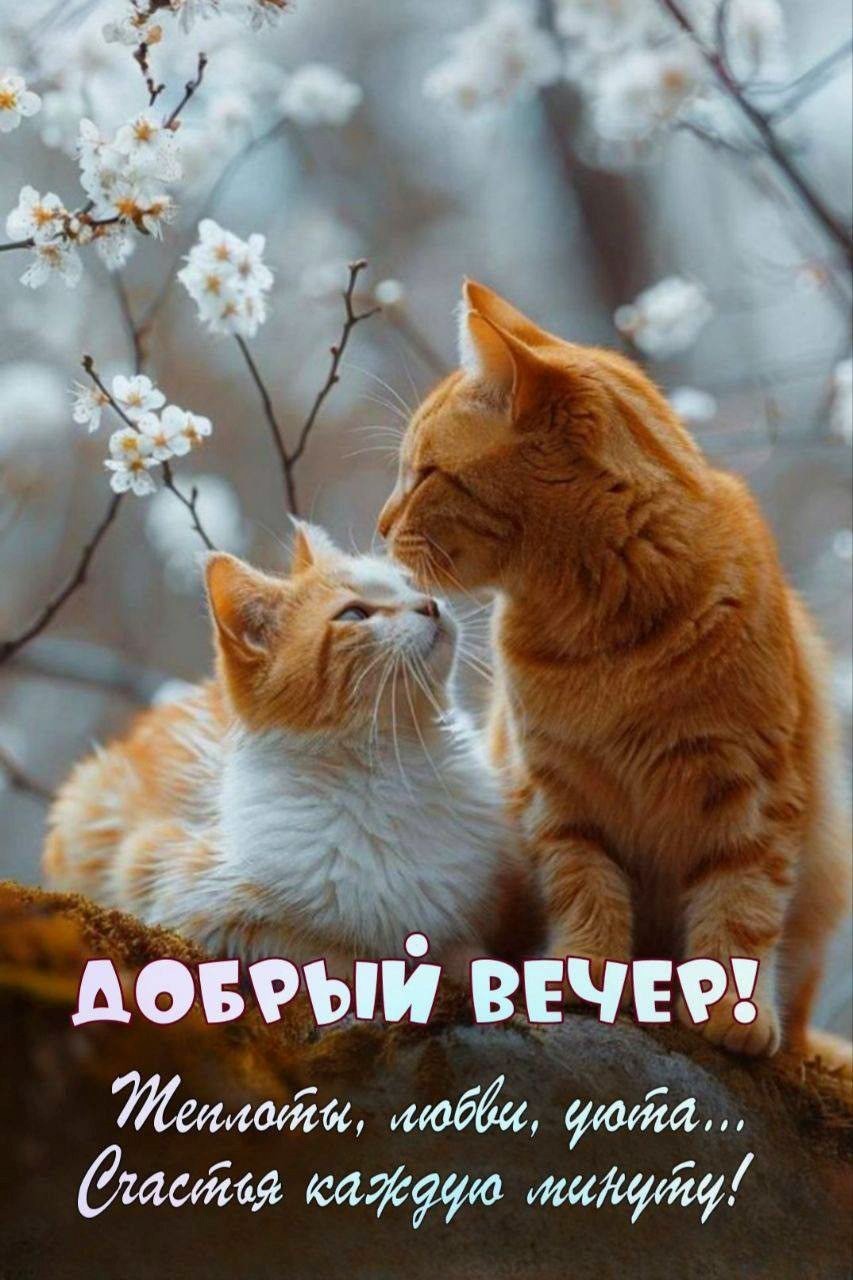 Два рыжих кота на ветке сидят вместе