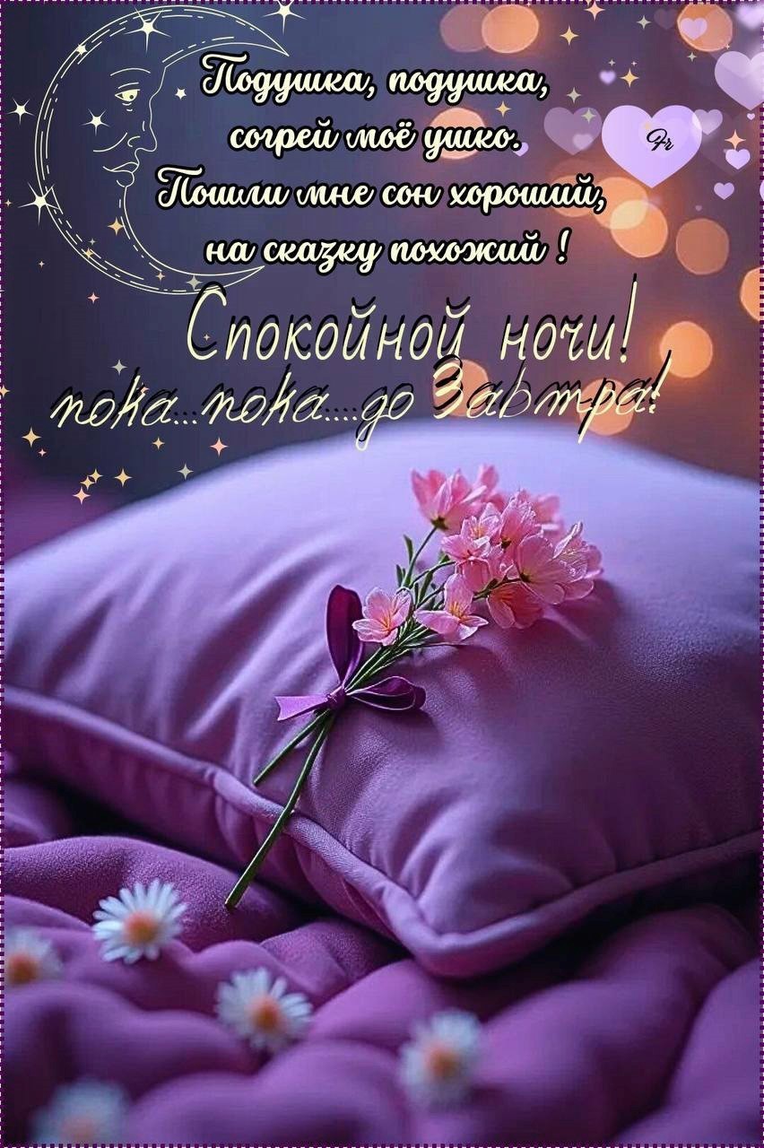 Цветы на сиреневой подушке