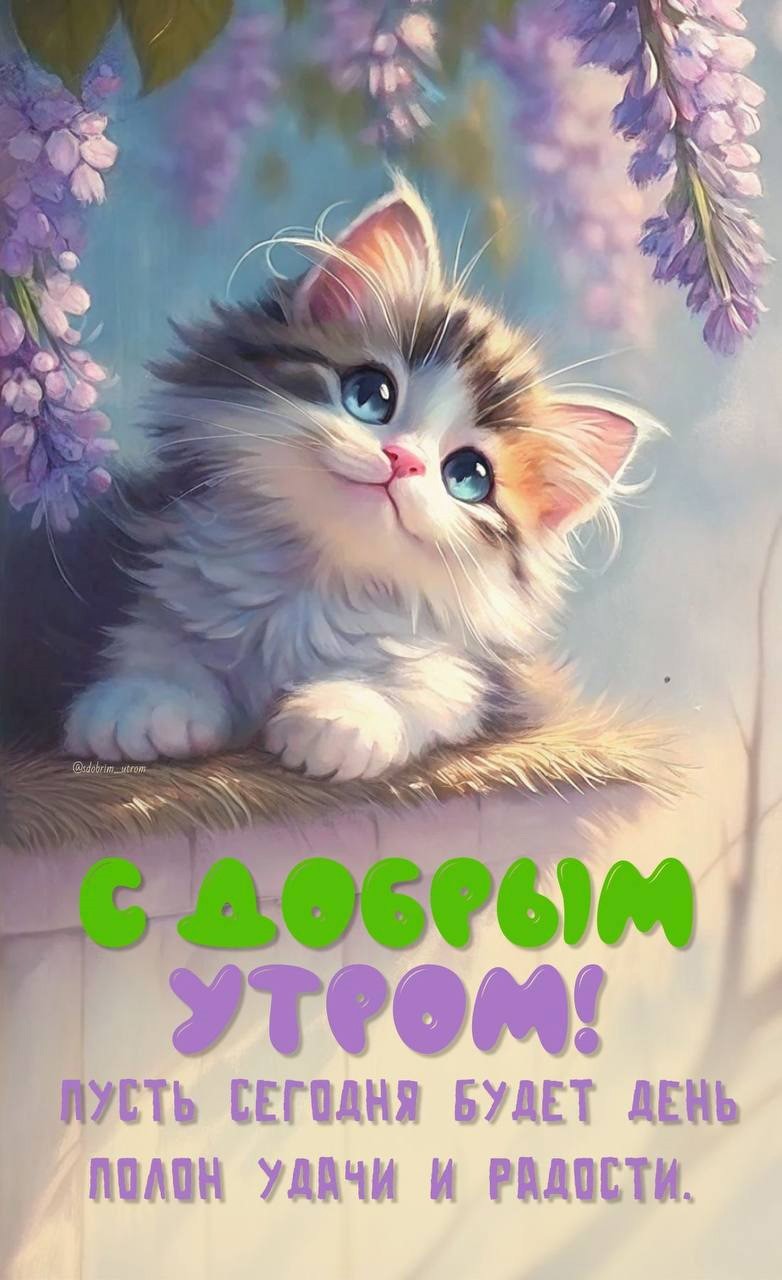 Открытка доброе утро с котенком Милый котенок желает доброго утра