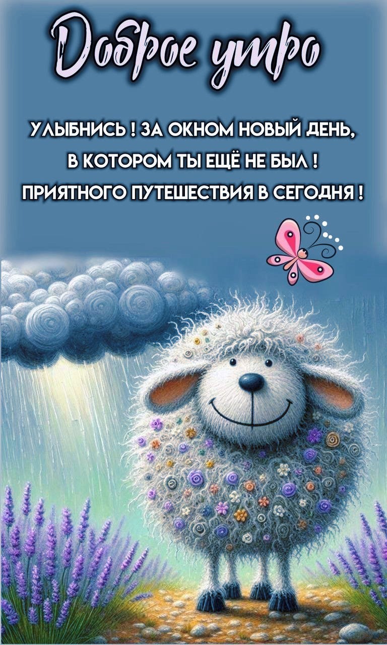 Милая овечка желает доброго утра