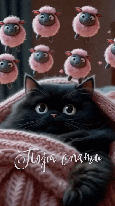 Черный котик и барашки