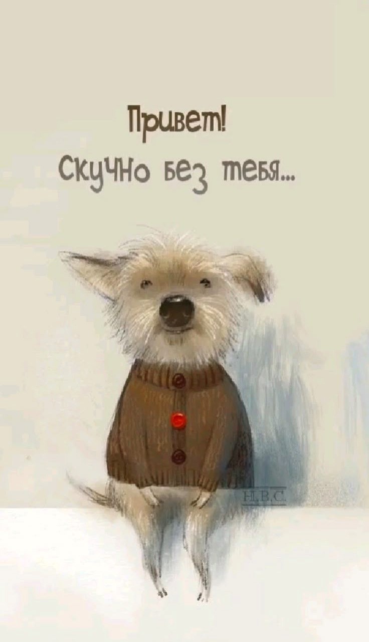 Открытка привет, скучаю с собакой Собаченка скучает