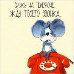 Мыша сидит на телефоне ждет твоего звонка