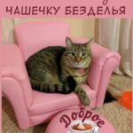 Открытка доброе утро с котом на кресле