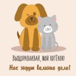 Собачка с котиком выздоравливай