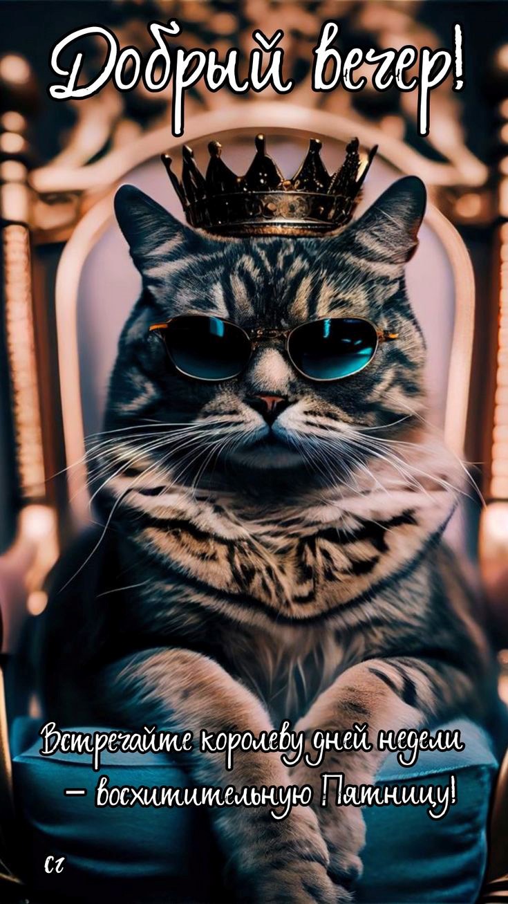 Открытка Добрый вечер на пятницу с котом в очках на троне