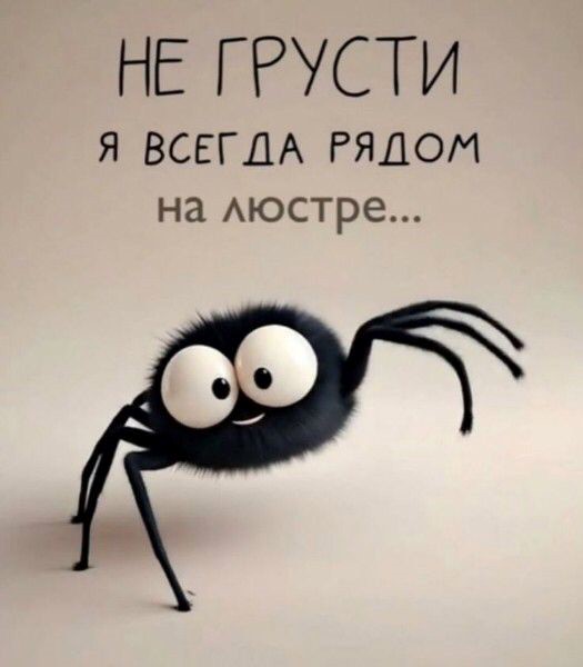 смешной паук не грусти